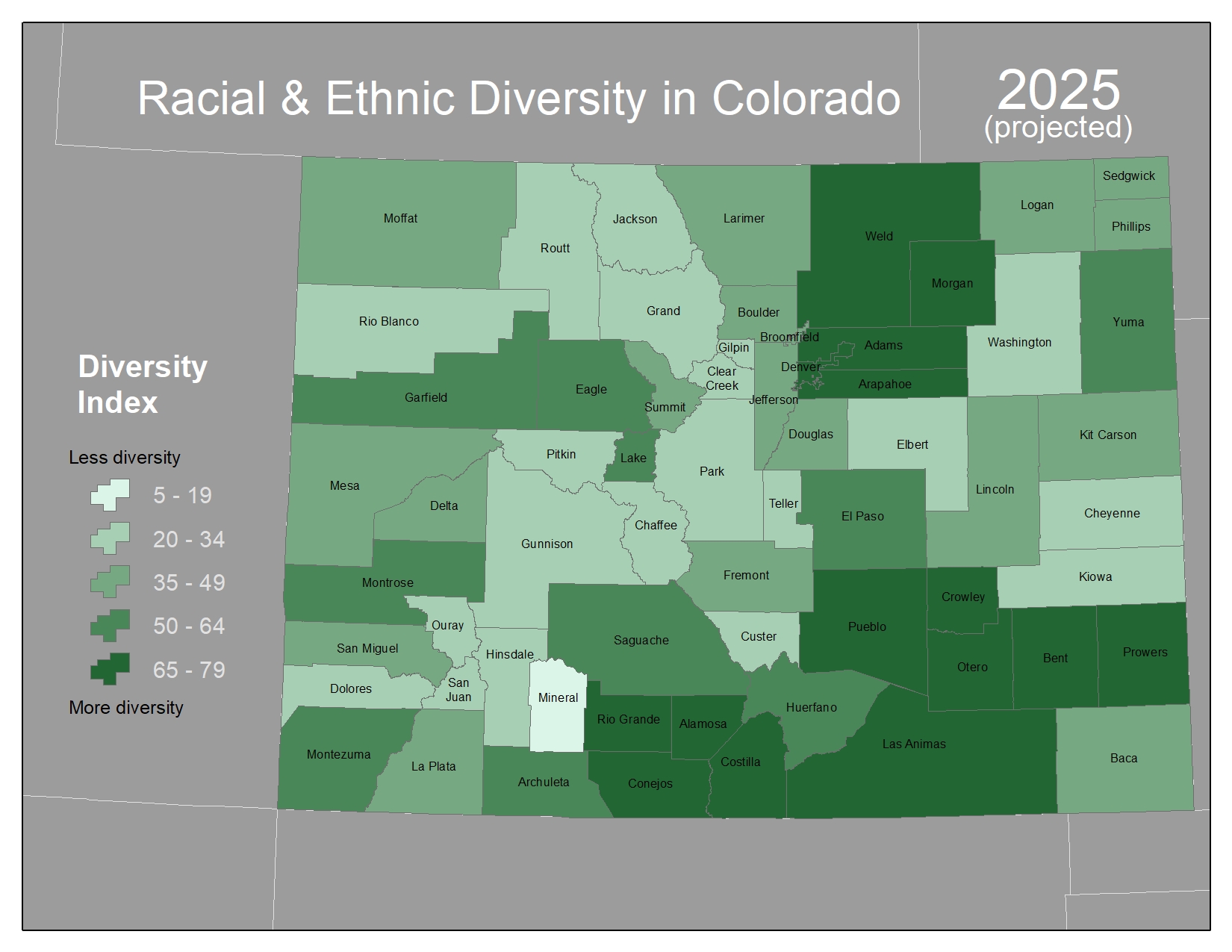 Mapping Racial and Ethnic Diversity in Colorado Corona Insights